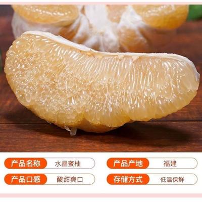 福建漳州平和縣三紅蜜柚批發，質優價廉助您商機無限