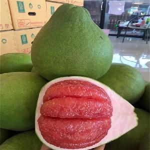 柚子批發市場指南 渠道、價格與采購策略