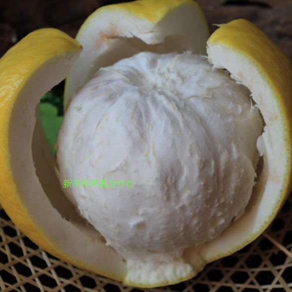 平樂沙田柚 源自桂林的甜蜜饋贈，新車坪合作社直供優質農產品